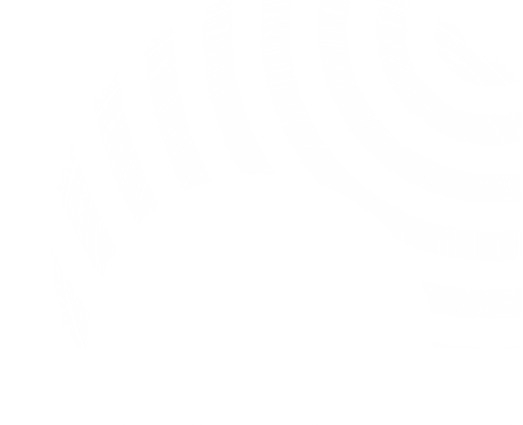 i4s Cage